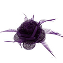 Fascinator On Concord Clip & Brooch Pin
