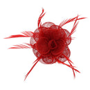Fascinator On Concord Clip & Brooch Pin