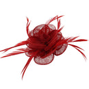 Fascinator On Concord Clip & Brooch Pin