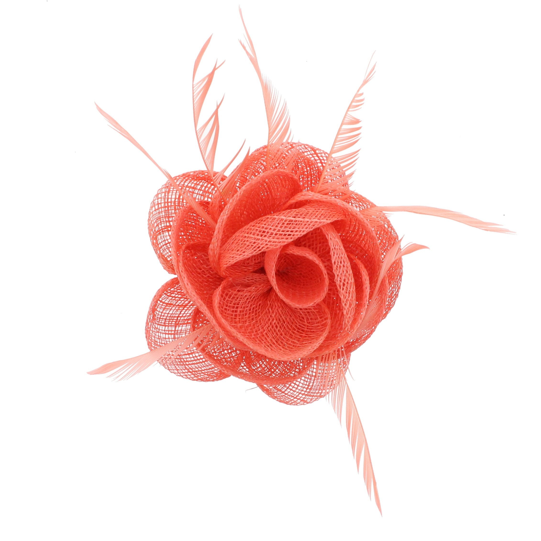 Fascinator On Concord Clip & Brooch Pin