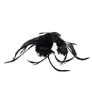 ZHF037BLK