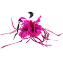 Feather Fascinator On Concord Clip & Brooch Pin