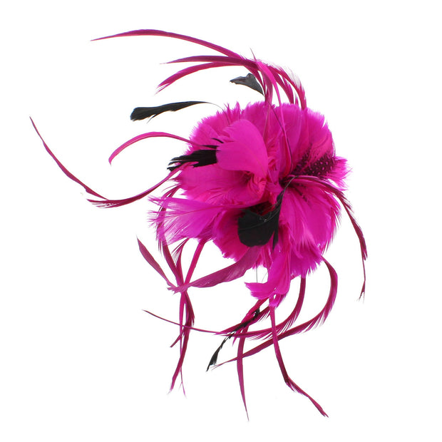 Feather Fascinator On Concord Clip & Brooch Pin (Diameter 12cm, Height 5cm)