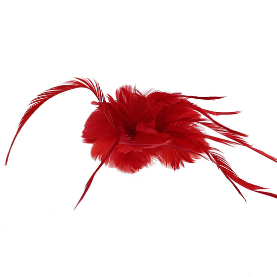 Feather Fascinator On Concord Clip & Brooch Pin