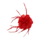Feather Fascinator On Concord Clip & Brooch Pin