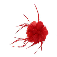 Feather Fascinator On Concord Clip & Brooch Pin