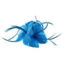 Feather Fascinator On Concord Clip & Brooch Pin