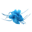 Feather Fascinator On Concord Clip & Brooch Pin