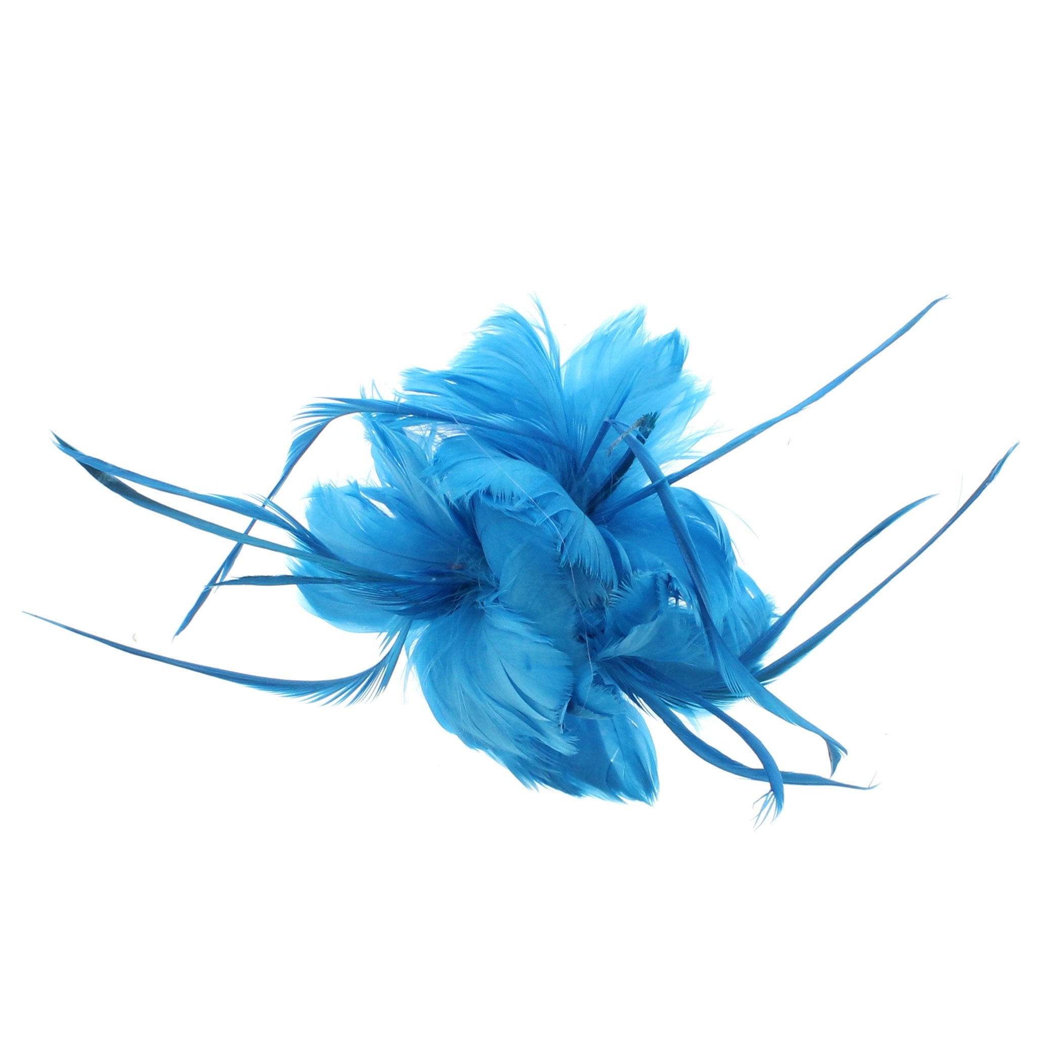 Feather Fascinator On Concord Clip & Brooch Pin