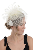 Fascinator on Concord Beak Clip or Aliceband