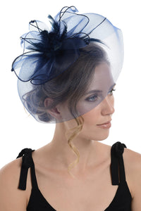 Fascinator on Concord Beak Clip or Aliceband