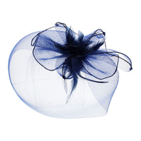 Fascinator on Concord Beak Clip or Aliceband