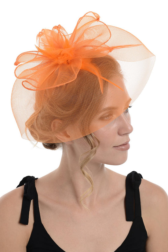 Fascinator on Concord Beak Clip or Aliceband