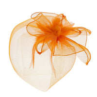 Fascinator on Concord Beak Clip or Aliceband