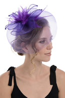Fascinator on Concord Beak Clip or Aliceband
