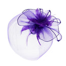 Fascinator on Concord Beak Clip or Aliceband