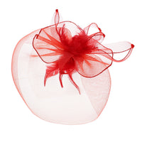 Fascinator on Concord Beak Clip or Aliceband