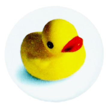 Duck Badge