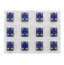 Sapphire Stone Gold Plated Caflon Ear Studs