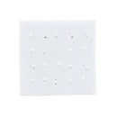 Silver Star Nose Studs