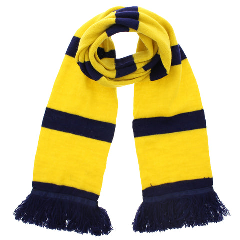 170 x 14cm Striped Scarf with Tassels