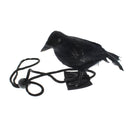 ZPA618