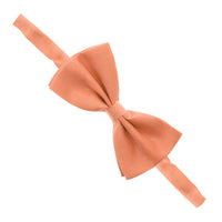 Plain Bow Tie