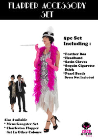Fancy Dress 5 Piece Charleston Flapper Set