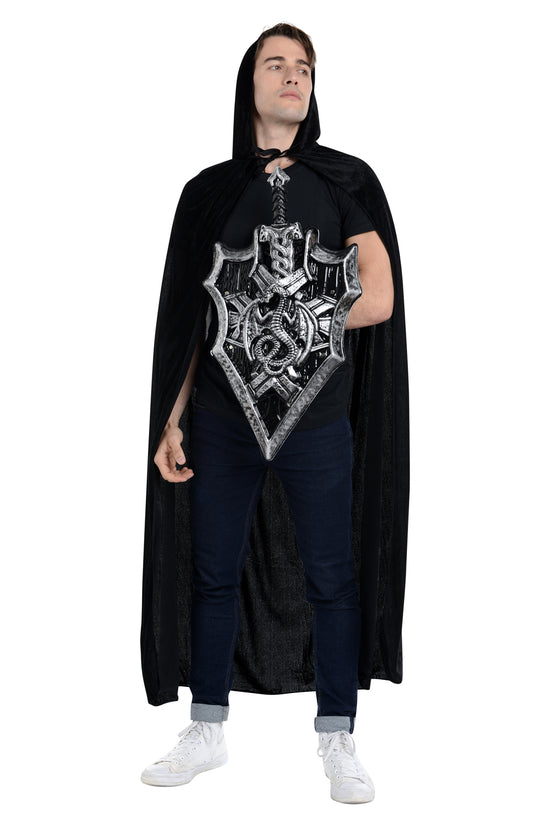 2 Piece Dragon Themed Shield & Sword Set