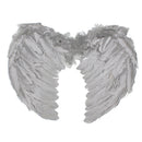 Elegant Feather Wings