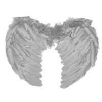Elegant Feather Wings