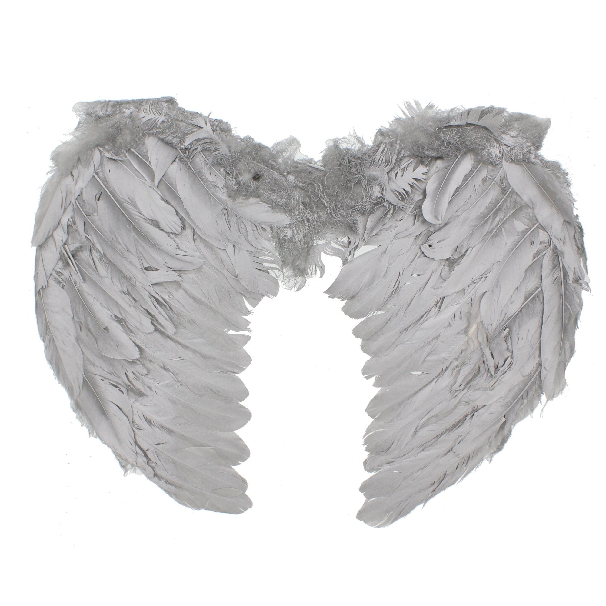 Elegant Feather Wings
