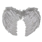 Silver Feather Wings