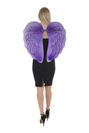 Large Angel Wings