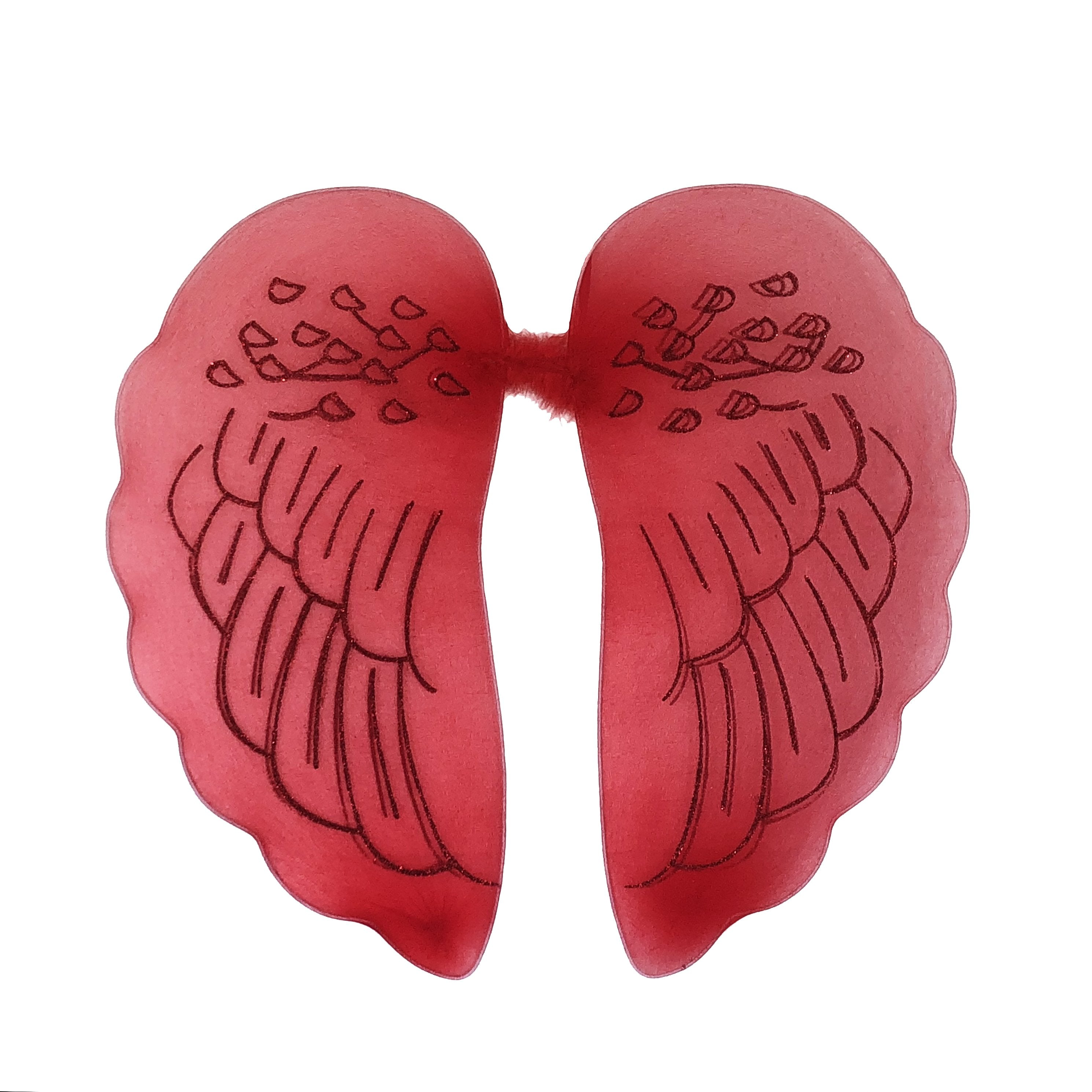 Large Angel Wings