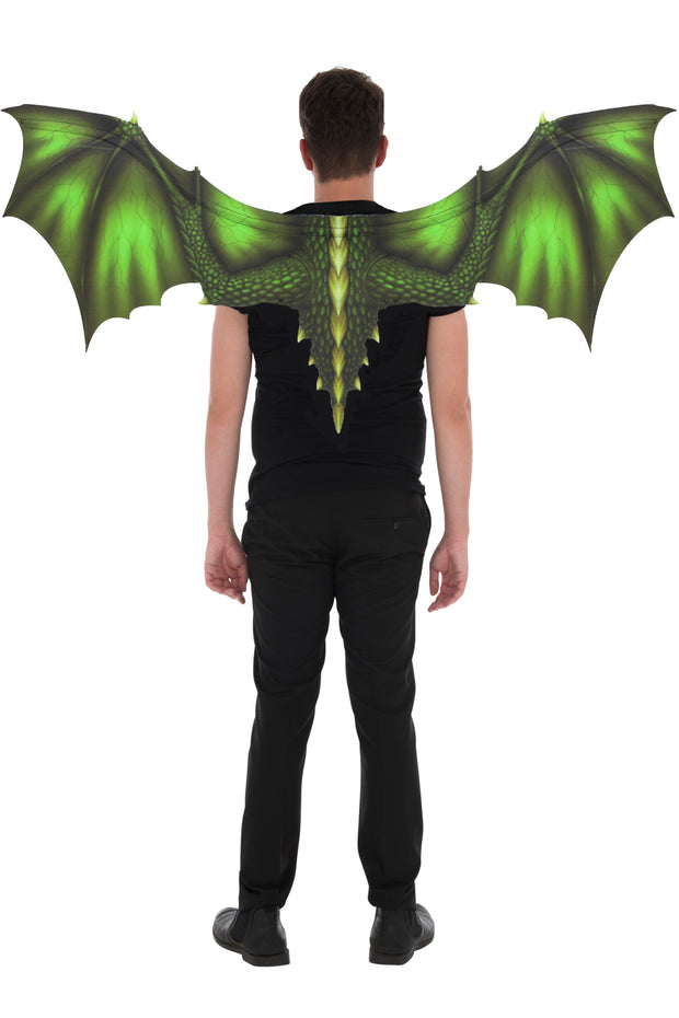 Black Bat/ Dragon Wings 1m x 0.5m