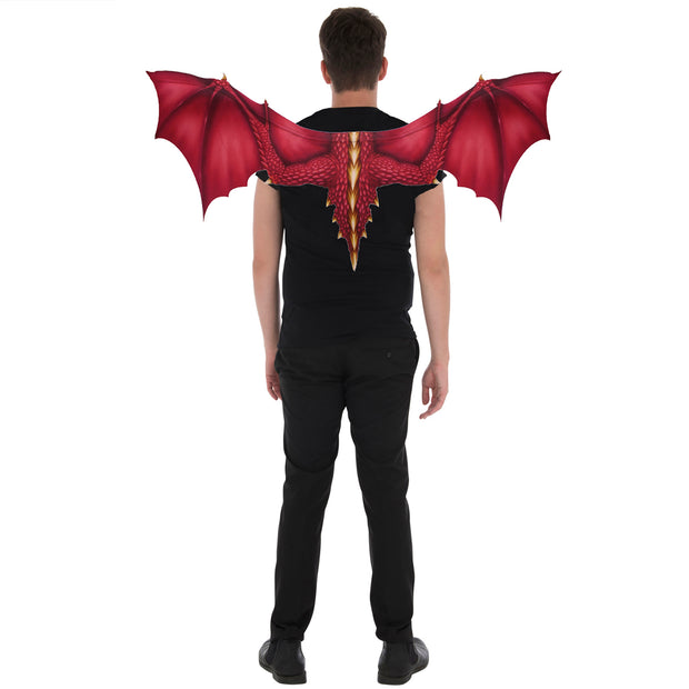Black Bat/ Dragon Wings 1m x 0.5m