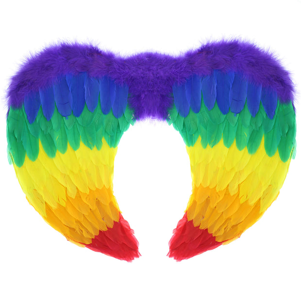 Rainbow Feather Wings