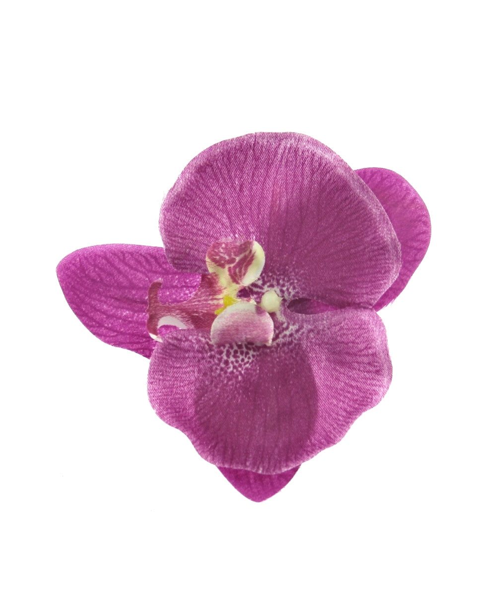 3 / Purple